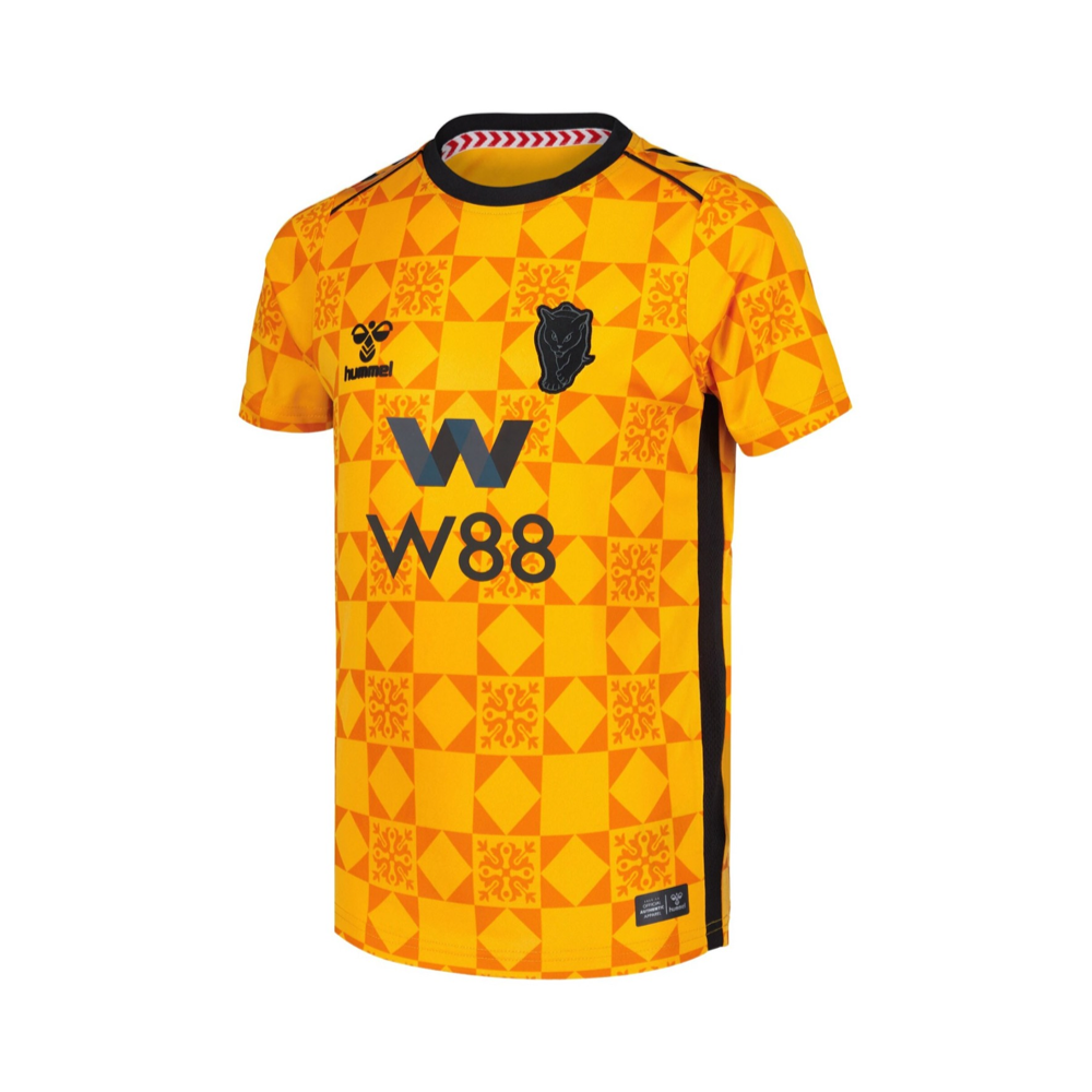 2025-26 Sunderland AFC Equipación Portero product image