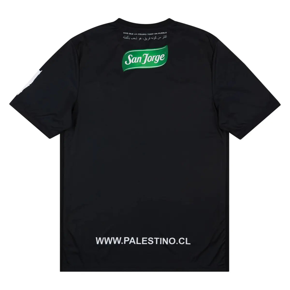 2022-23 CD Palestino 2a Equipación Jewel Jersey