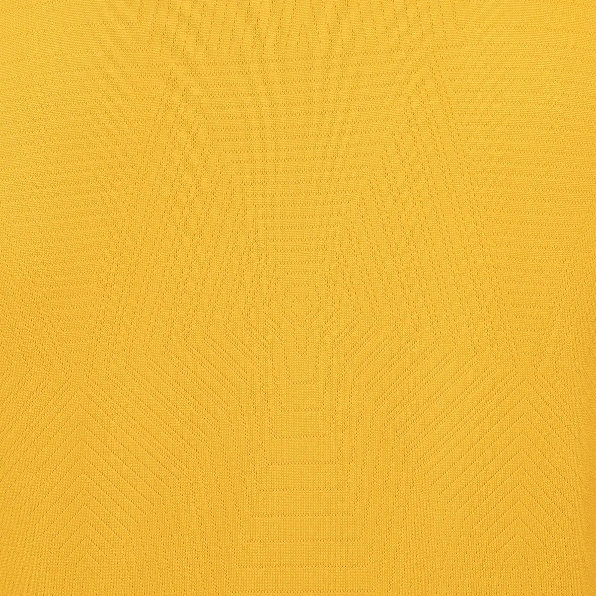 2024-25 Wolverhampton Wanderers FC 1a Equipación Jewel Jersey