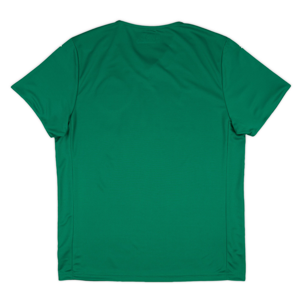 2025-26 SE Palmeiras 1a Equipación product image 2