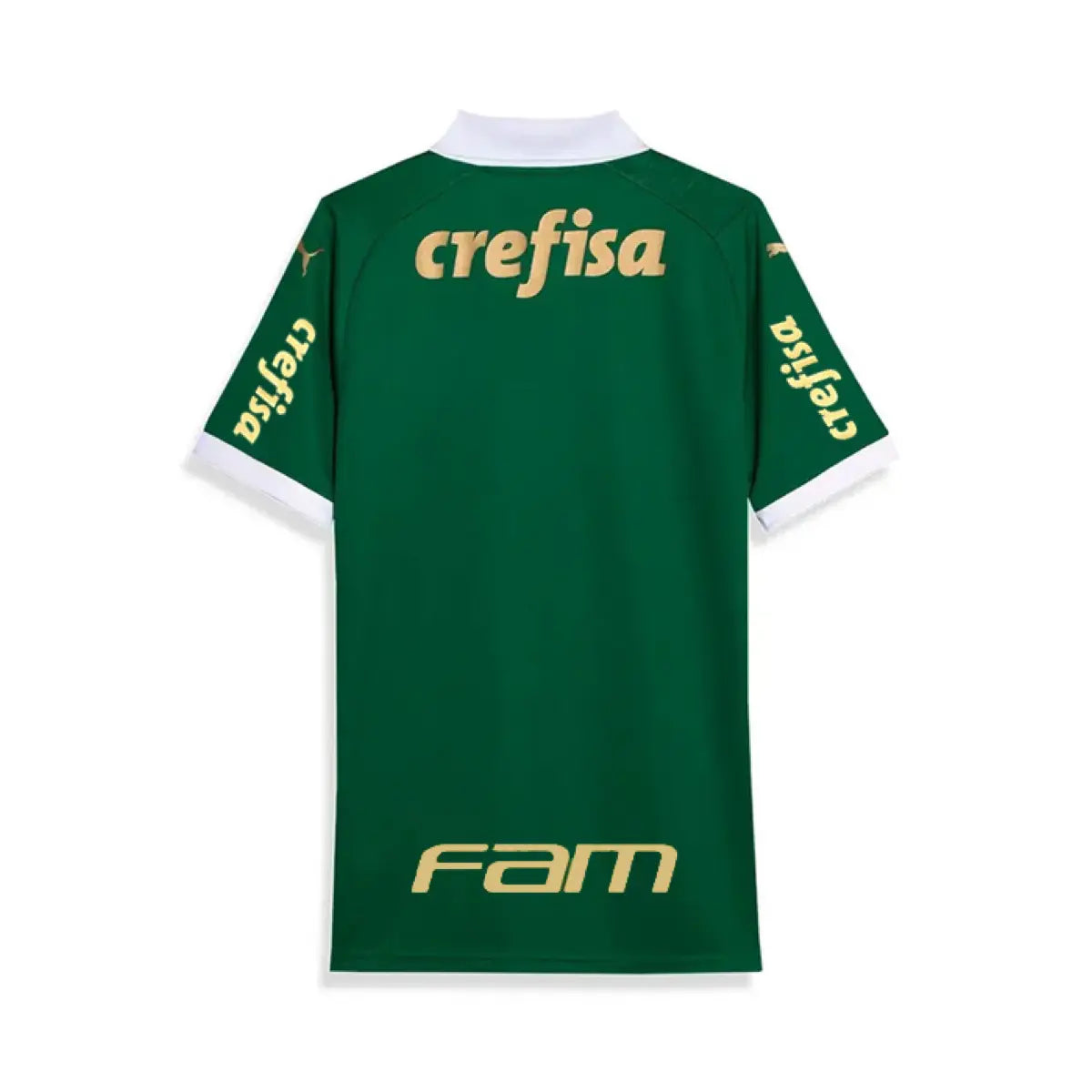 2024-25 SE Palmeiras 1a Equipación Jewel Jersey