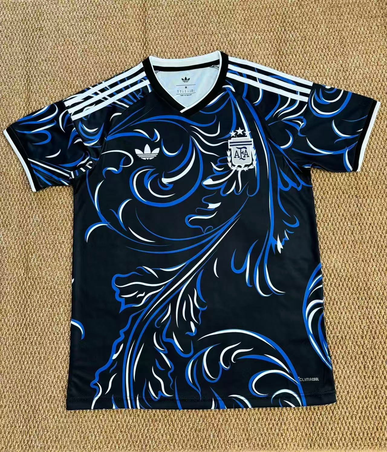 ARGENTINA 2026