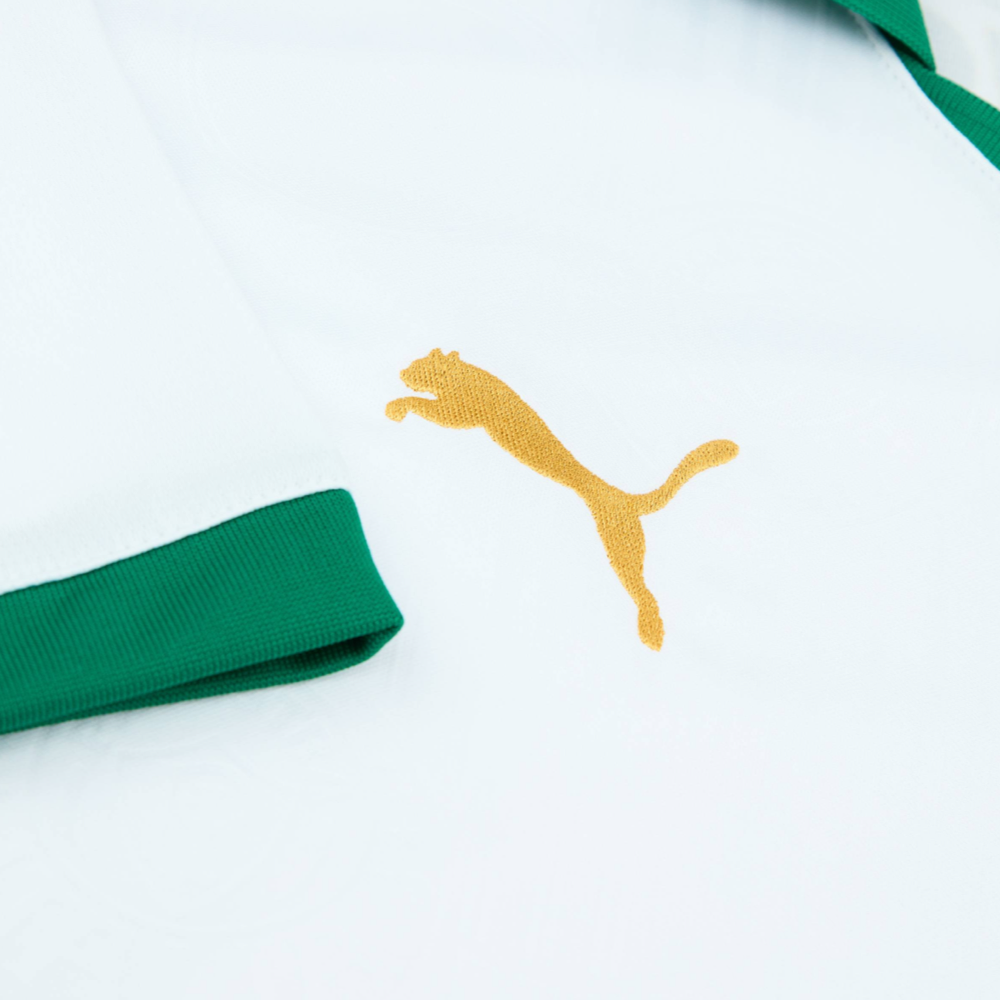 2024-25 SE Palmeiras 2a Equipación product image 3