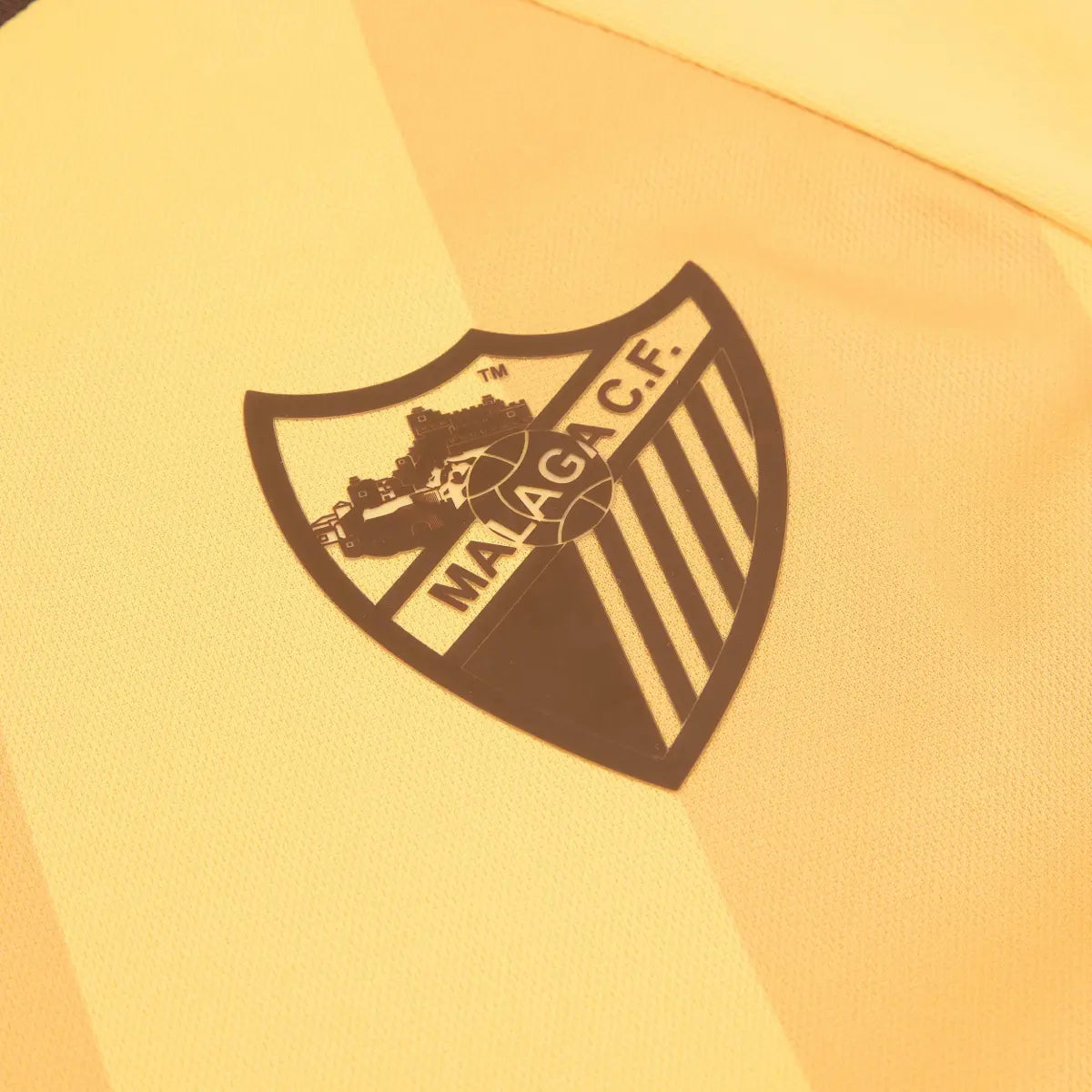 2024-25 Málaga CF 2a Equipación Jewel Jersey