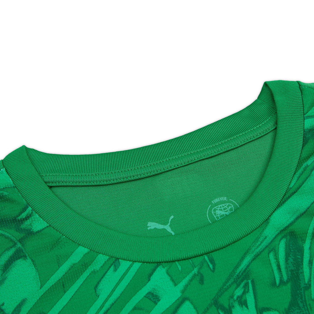 2025-26 Manchester City FC Equipación Portero product image 4