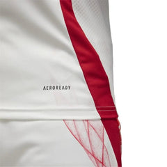 2024 Japón 2a Equipación Jewel Jersey
