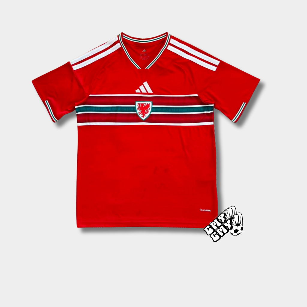 WALES HOME 2026